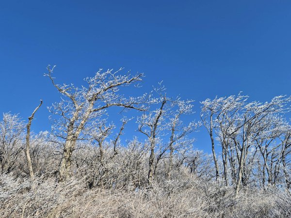 Impliquer les Seniors dans la Recherche Médicale : Une Nécessité Vitale pour l'Avenir de la Santé